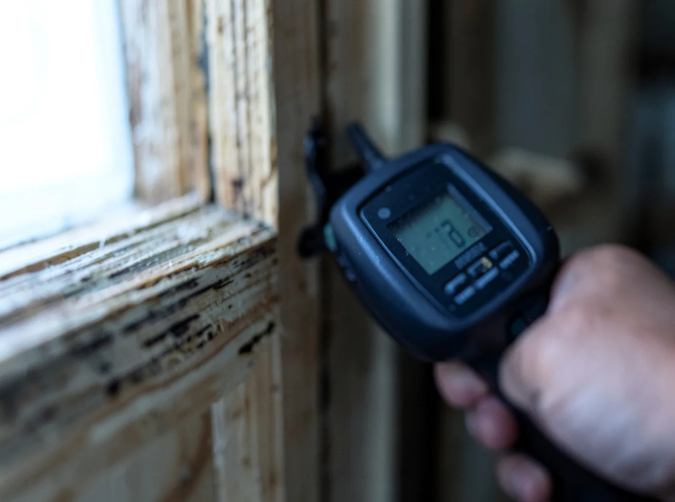 Ceiling Water Damage Repair in Mapleton, MN